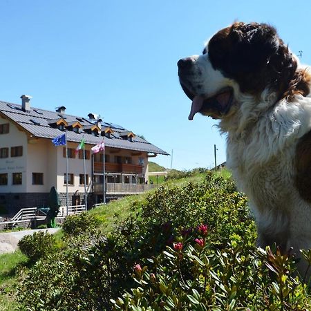 Rifugio Capanna Passo Valles Фалкаде Екстериор снимка